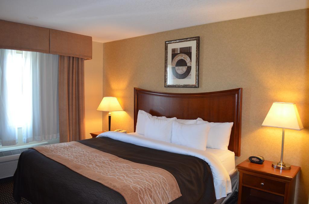 Comfort Inn & Suites Vancouver Downtown City Center Kültér fotó